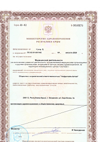 Лицензия (лист4)