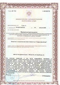 Лицензия (лист3)